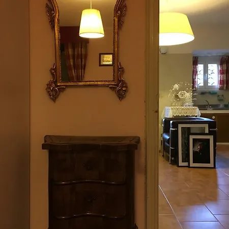 Apartment Bonsai